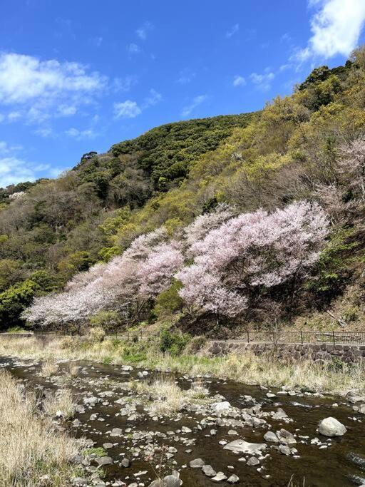 御浜岬の至福を一身に味わう 一軒家貸切宿で贅沢なバーベキューを楽しみながら夕陽に染まる戸田湾の美しさを満喫 Нумадзу Экстерьер фото